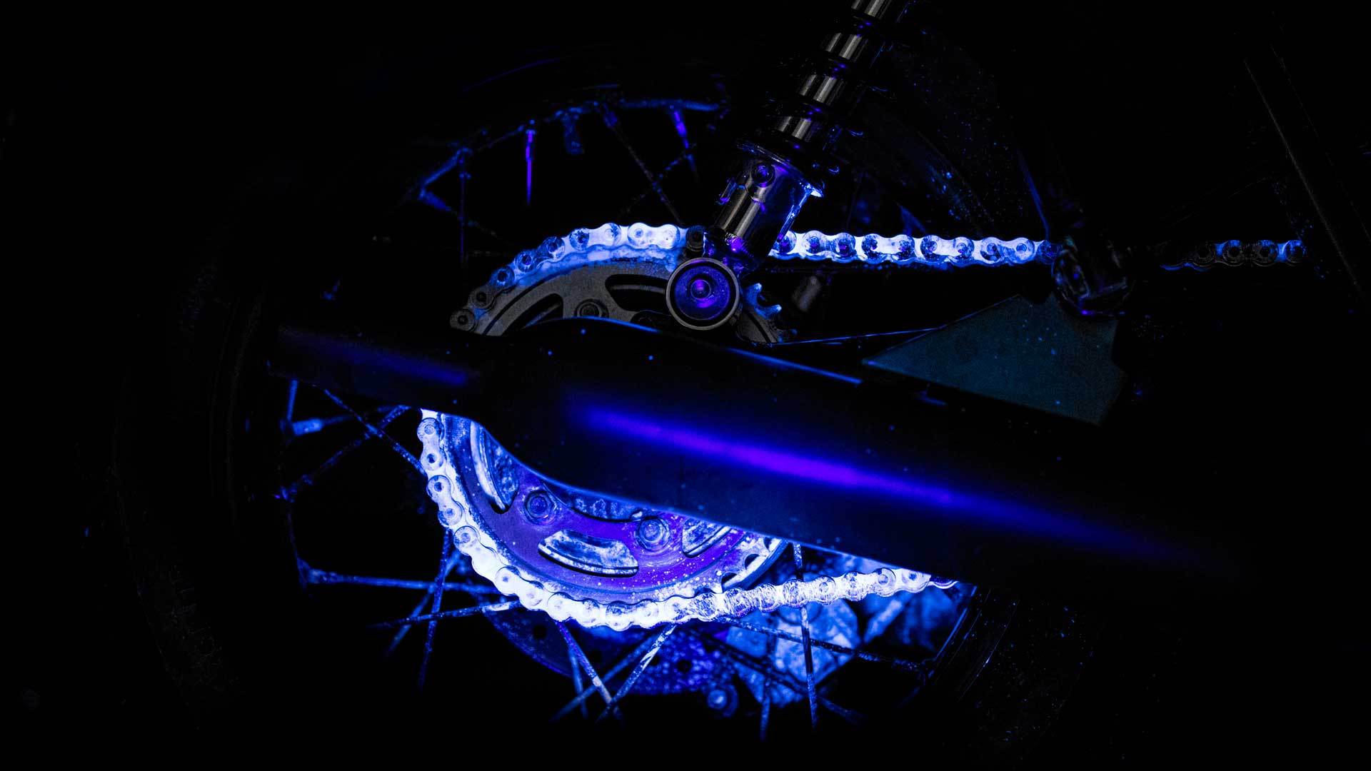 DSC_2594_f75a9cda-3872-414c-b324-e86cee9a7edd