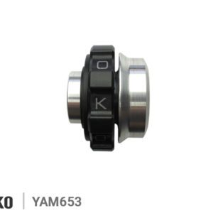 KAOKO CRUISE CONTROL