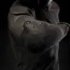 COMMANDO-UH-BLACK-Technical-features-photo__-scaled